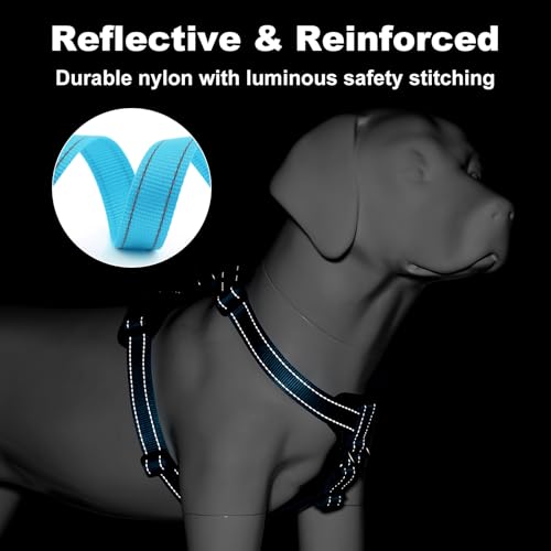 No Pull Dog Harness with Leather Accents (S / Light Blue)