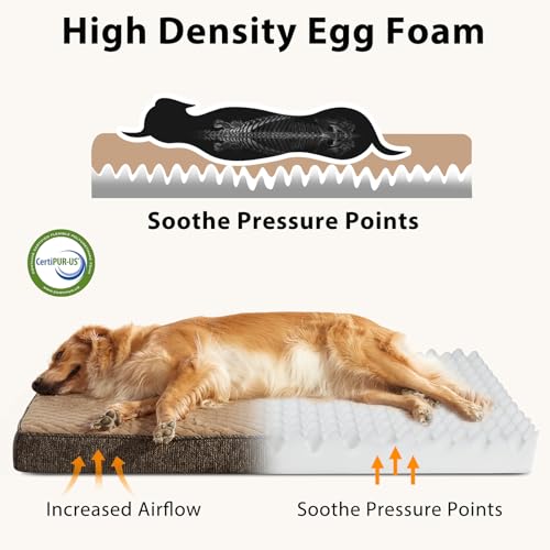 Orthopedic Dog Bed for Extra Large Dogs (XL Plus(44"x30") / Brown)