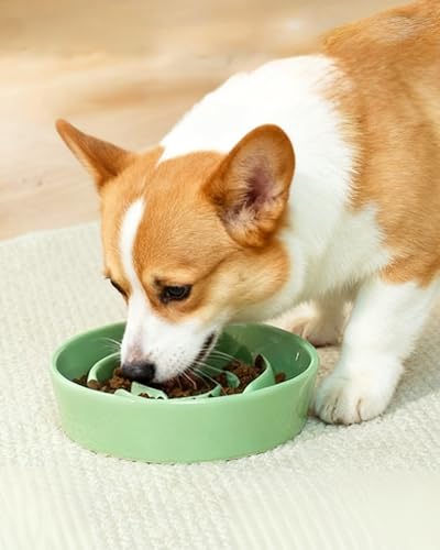 Ceramic Slow Feeder Dog Bowls (M-1.5 Cups / 04-Green)