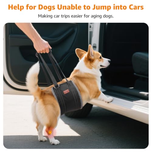 Dog Sling for Large Dogs Hind Leg Support to Help Lift Rear Legs (Grey&Black / Medium)