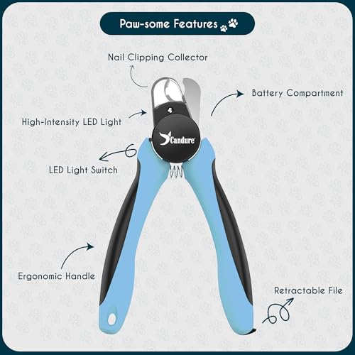 LED Dog Nail Clippers with Light (Sky Blue / Large to Medium pets)