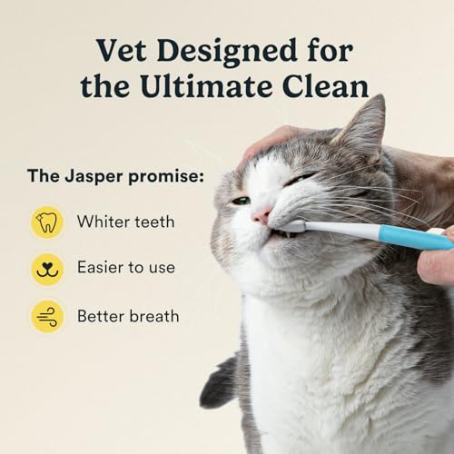 Microbrush Cat Toothbrush (Microbrush Kit)