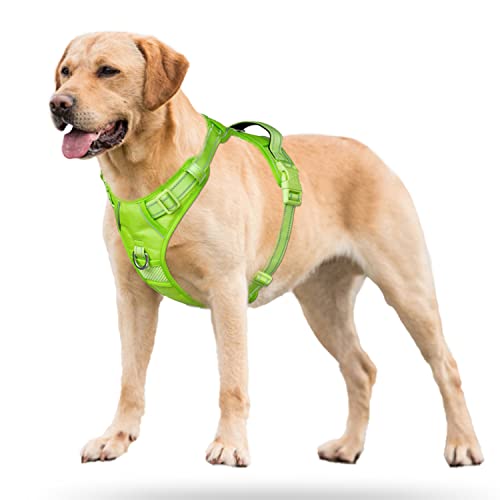 No Pull Dog Harness (S / Green(Matching Trim))