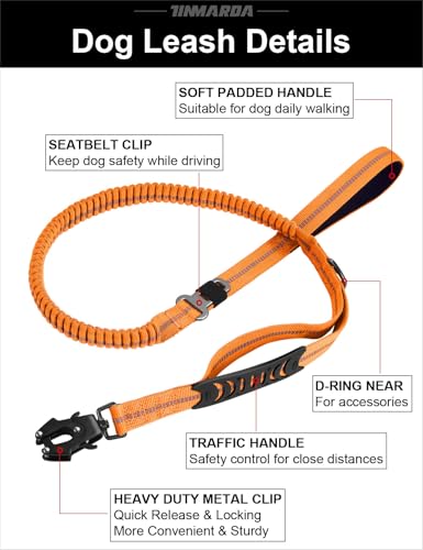 Heavy Duty Dog Leash (Orange)