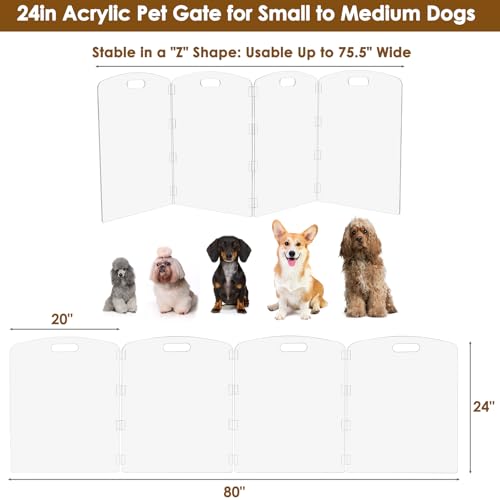 Modern Frame Clear Acrylic Freestanding Pet Gate (24" Height-4 Panel)