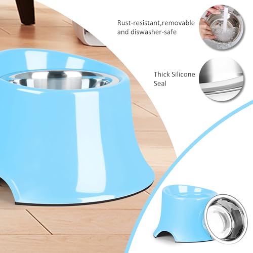 Elevated Dog Bowls (L/3 Cup / Blue)