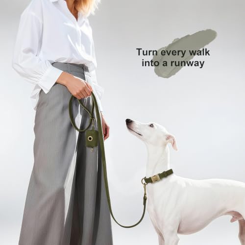 PU Leather Dog Leash for Medium Large Dogs (Dark Green / 3/4''x 5FT)