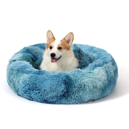 Calming Donut Dog Bed (Gradient Blue / Medium 25.5''x25.5''x9'')