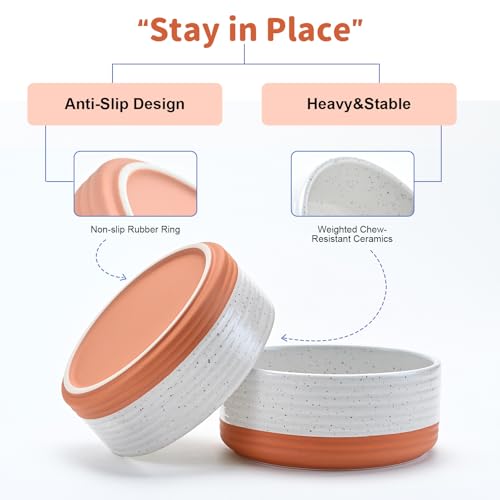 Ceramic Dog Bowls 2 Pack (8.3 in - 7.6 cups / Pattern White - Only Bowls*2)