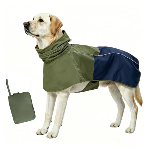 Dog Raincoat with High Collar (Green&Navy / Medium(13-22lb))