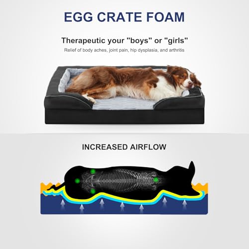 Orthopedic Supportive Large Dog Bed (42.0''l x 32.0''w x 6.5''th / Black)