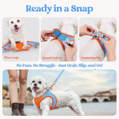 Dog Harness Small Sized and Leash Set (Blue & Orange / Xs (chest: 13.3 - 15.5"))