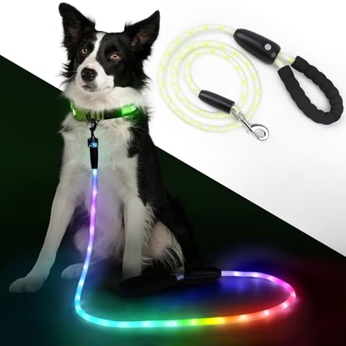 5Ft Light Up Dog Leash (5Ft)