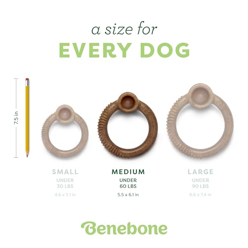 Ring Dog Chew Toy for Aggressive Chewers (REAL Bacon / Medium)