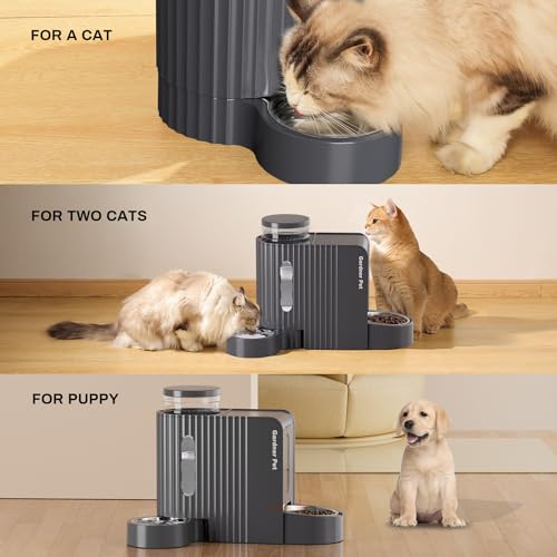 Gravity Automatic Cat Feeder (Large (0.8 Gallon x 2) / Black Grey)