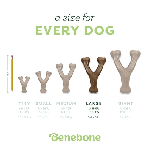 2 Pack Wishbone Chew Toy for Aggressive Chewers (2 Pack - Large)