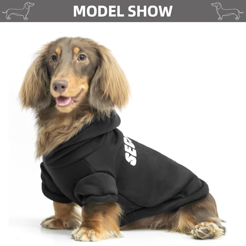 Security Dog Hoodie (#1 Black(Security) / X-Large (Dachshund Recommend))