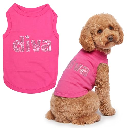 Diva Dog Shirt (Large / Diva)