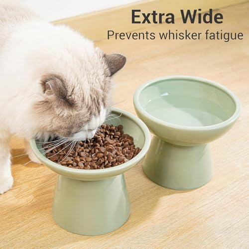 2 Pack Elevated Ceramic Cat Bowls Extra Wide for Food & Water (Sage Green)