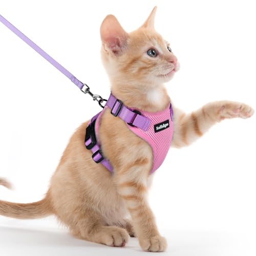 Cat Harness and Leash Set (Xxs / Pink & Light Purple)