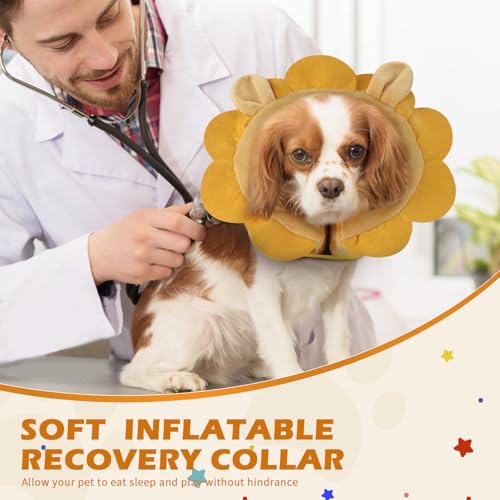 Inflatable Recovery Dog Collar (Brown Lion / X-Large (Neck:20''-23''))