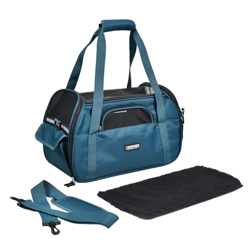 Soft Sided Airline (19.0"L x 10.0"W x 13.0"H / Teal Blue)