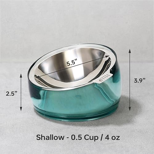 Oblik Elevated Cat Bowl Removable Stainless Steel Wide Dish for Dry Wet Food Feeding & Dishwasher Clean (Classic / 0.5 Cups Shallow Dish)