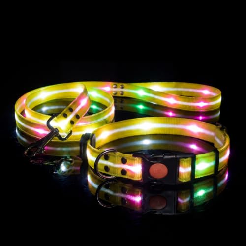 LED Dog Collar & 4 Foot Leash (Yellow)
