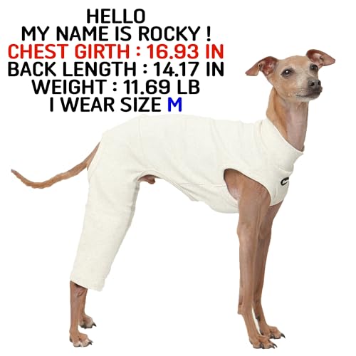 D Doggy Star Italian Greyhound Clothes High (L / COORDI OTAMEAL)