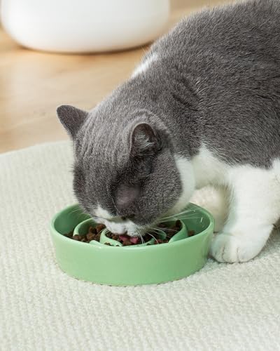 Ceramic Slow Feeder Dog Bowls Small Breed (S-0.6 Cups / 04-Green)
