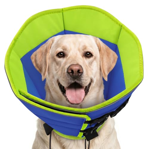 Dog Cone Cones for Dogs to Stop Licking (Blue / Large)