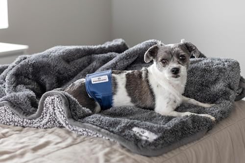 Washable Belly Bands for Male Dogs (X-Small (11-13") / Kingsmen)
