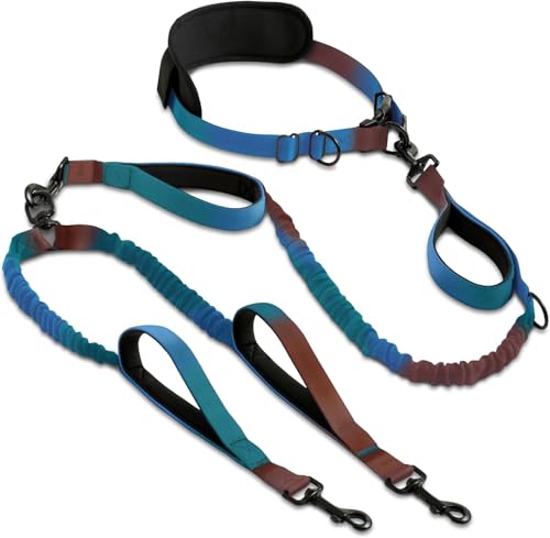 Hands Free Dual Dog Leash (Gradient Blue / 2 dogs M/L)