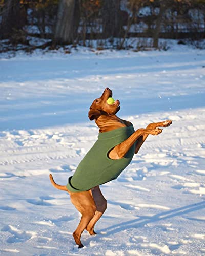 Stretch Fleece Vest Dog Sweater (4X-Large Length (22.5") / Sand)