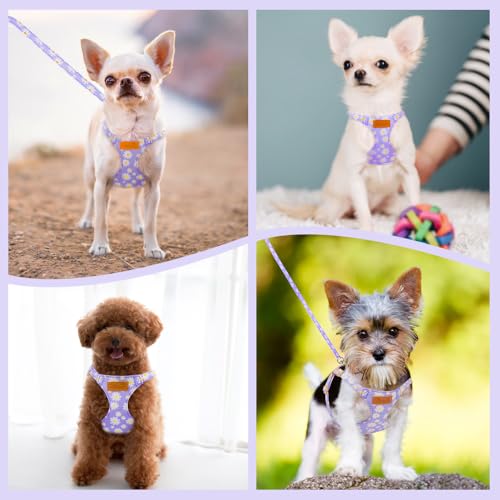 No Pull Dog Harness with Leash for Small Medium Dogs (Medium(18-31lb) / Purple Daisy)