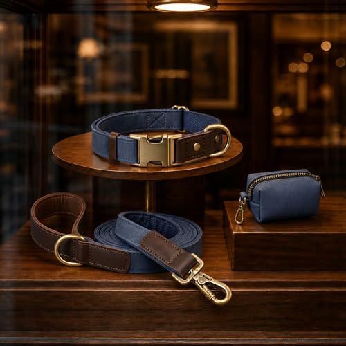 PU Leather Dog Leash for Large Dogs (Blue / 1"x 6FT)