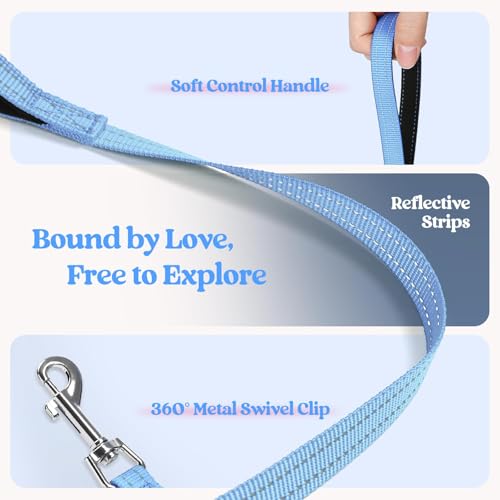 Dog Harness Small Sized and Leash Set (Blue & Plaid Trim / Xxs (chest: 12.4 - 14.2"))