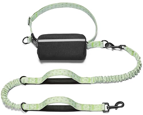 Hands Free Dog Leash with Zipper Pouch (green heart / Large)