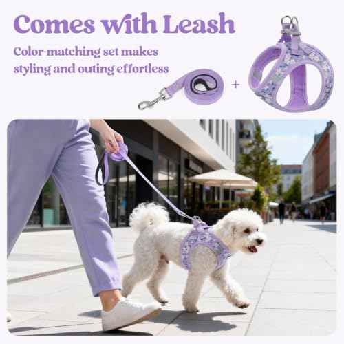Dog Harness Medium Sized and Leash Set (Lavender Floral / M (chest: 16 - 18.5"))