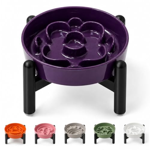 Elevated Slow Feeder Dog Bowl (Purple / S（1 Bowl with Stainless Steel Stand）)