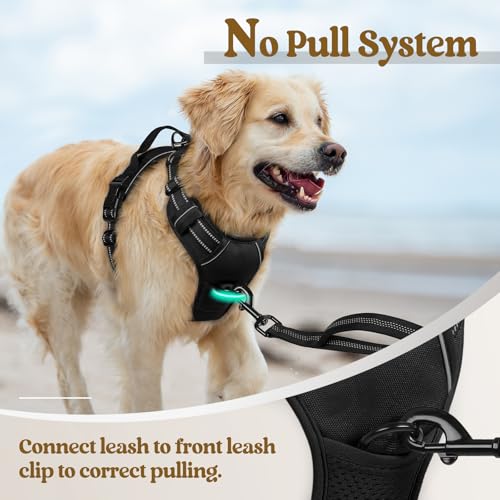 Dog Harness No Pull for Large Dogs with 2 Leash Clips (X-Large / Black)