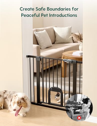 Dog Gate with Adjustable Cat Door (Black / 29-43" Wide, 30" Tall)
