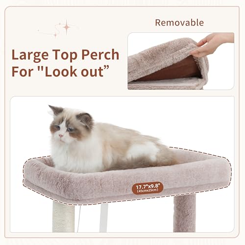 Cat Tree Tower with Sturdy Steel Tube for Indoor Cats GCT014MU (51.2 inches / Muchroom)
