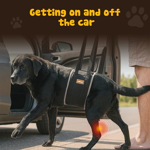 Dog Lift Harness (Small (S))