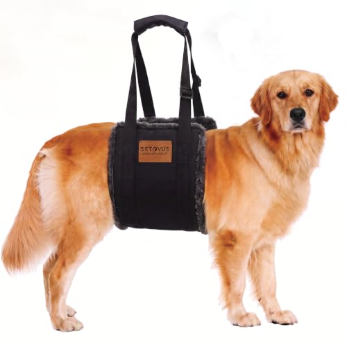 Adjustable Dog Lifting Harness (Grey / Medium)
