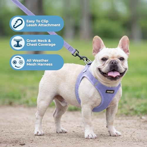Voyager Step in Air All Weather Mesh Harness and Reflective Dog 5ft Leash Combo with Neoprene Handle (Lavender / L (Chest: 18 - 20.5"))