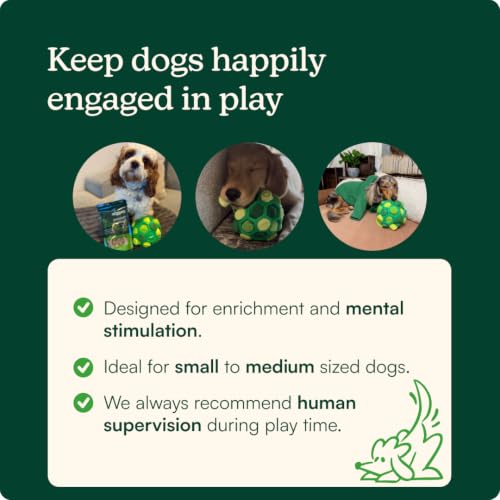 Snuffle Ball for Dogs