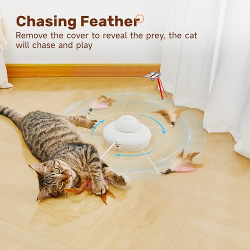 Cat Toys Chargeable (Minimalistic Bohemian)