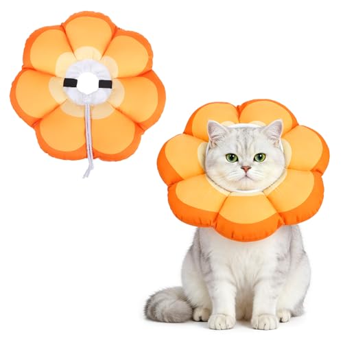 Cat Cone Collar (Orange / M - Neck Up to 10.5")