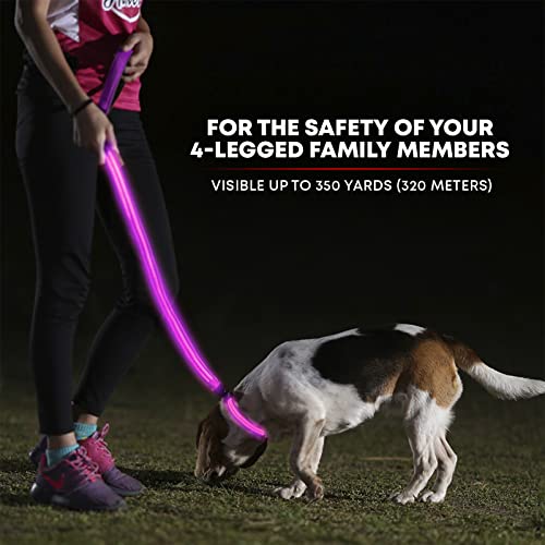 LED Light Up Dog Leash (4 Feet / Cotton Candy Pink)